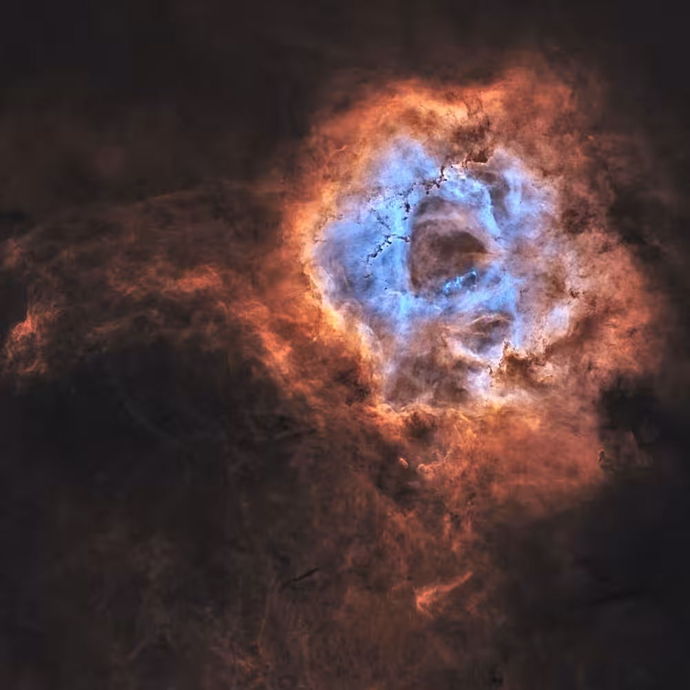 Celestial Rosette
