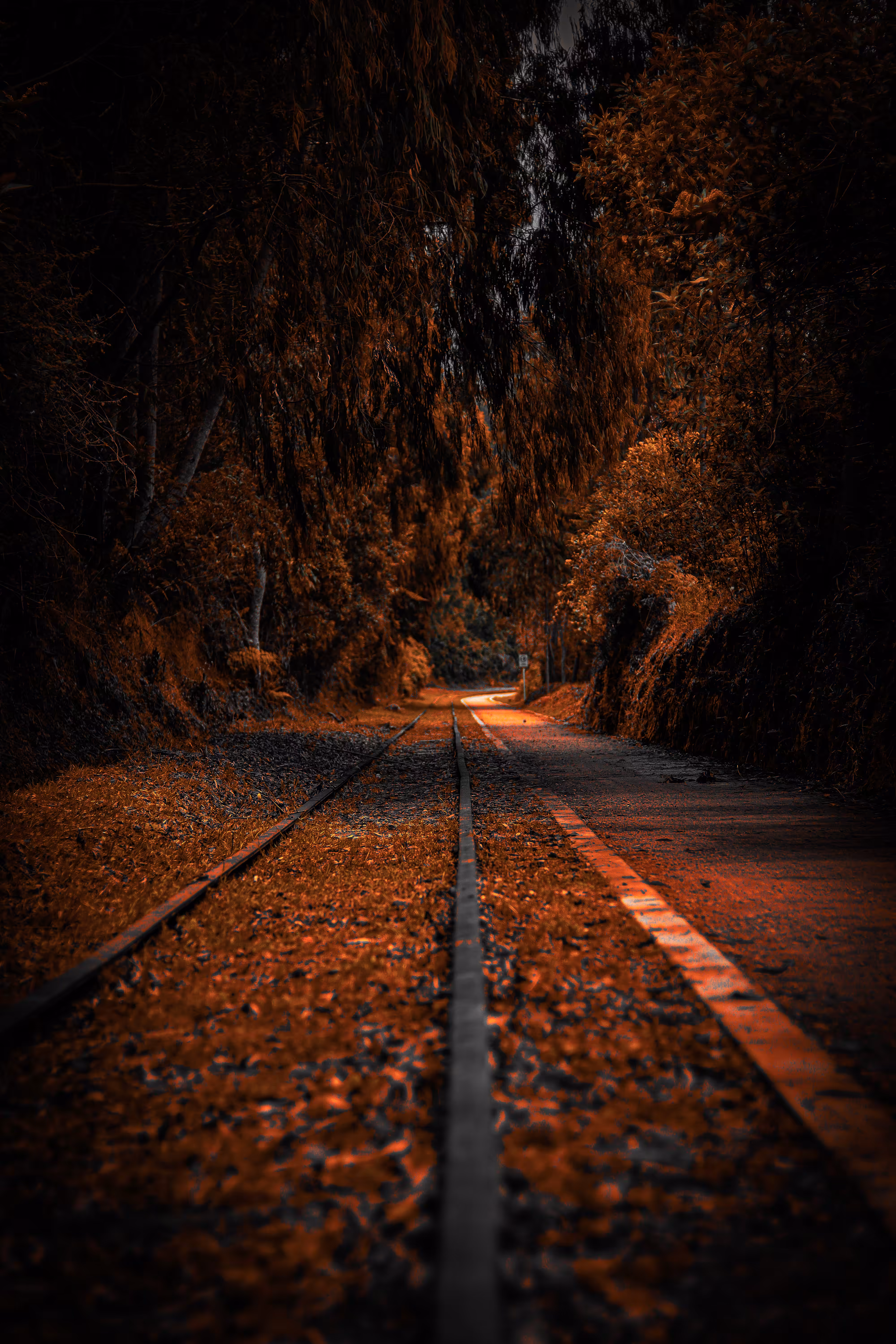 Silent Track