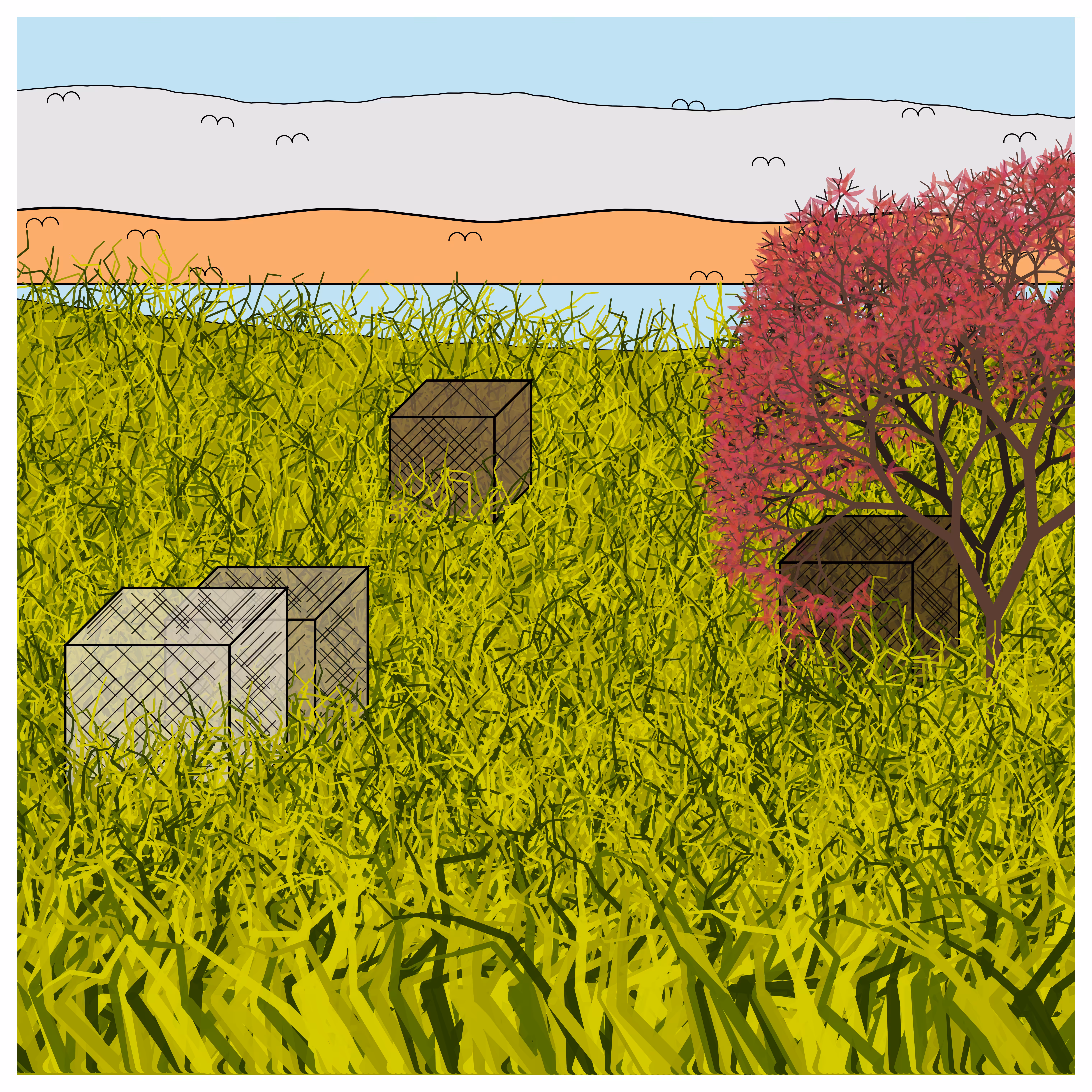 Cube Forest #77