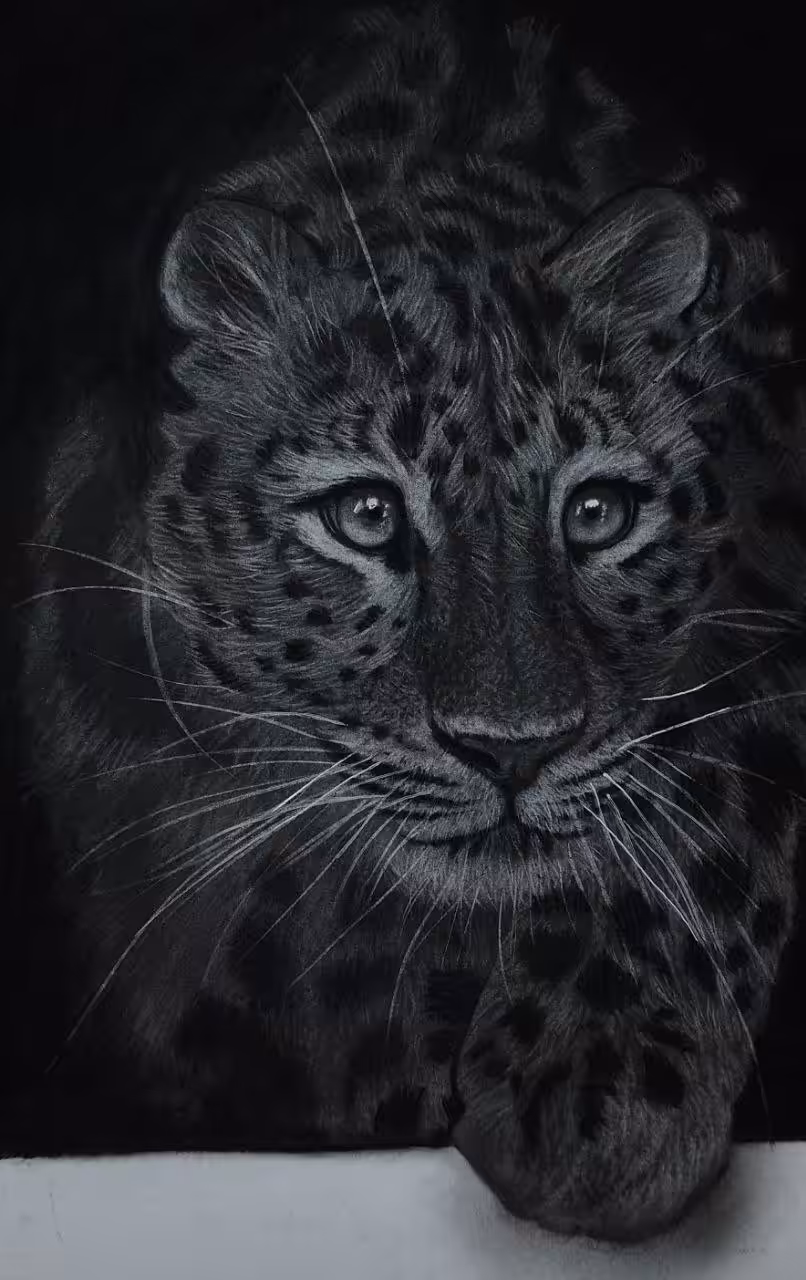 Leopard