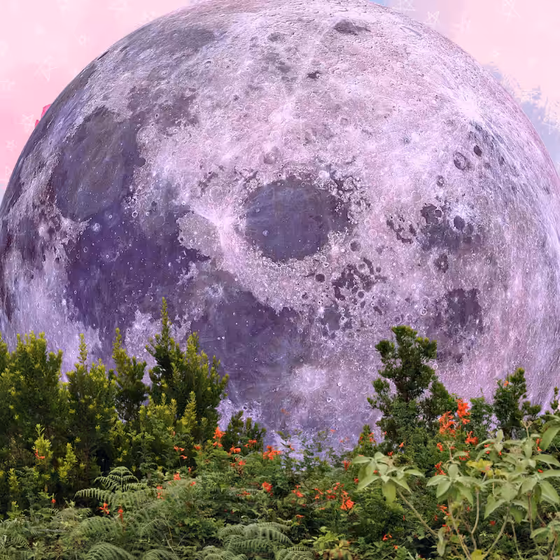 Pink Moon #20
