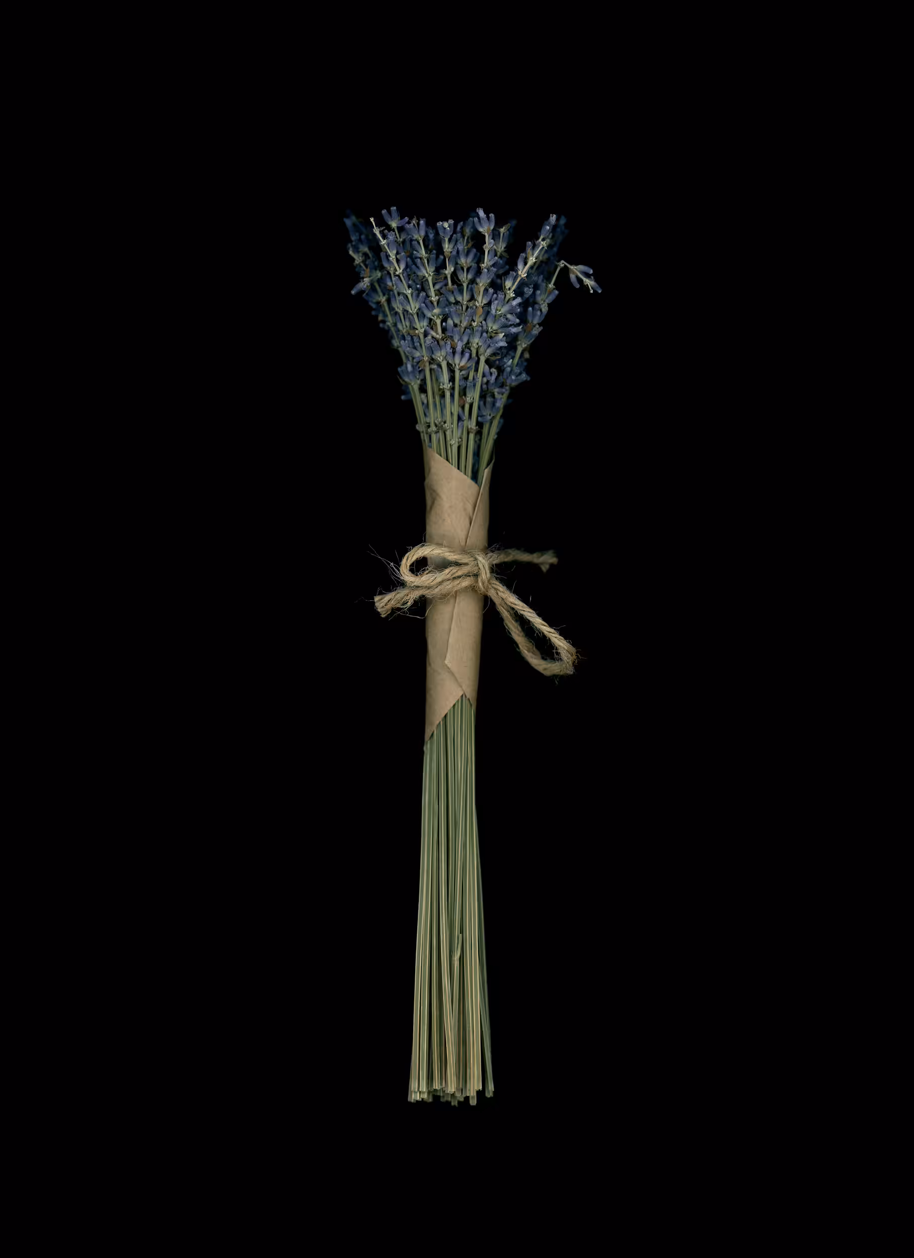 Lavender (2020)