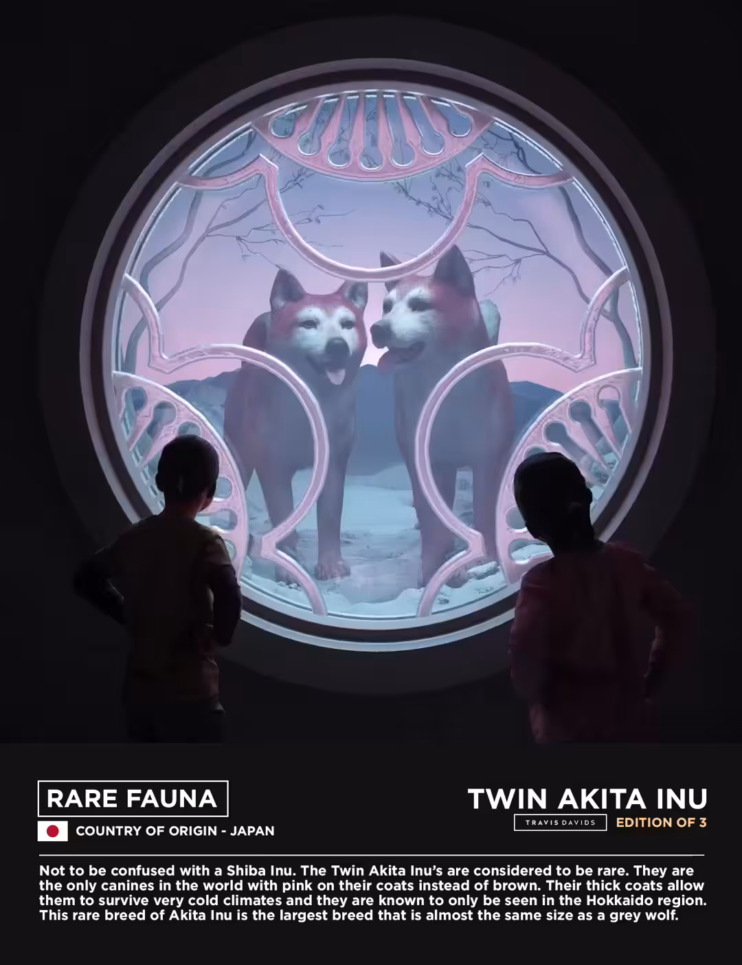Rare Fauna - Twin Akita Inu