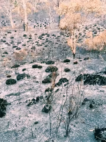 After fire 2