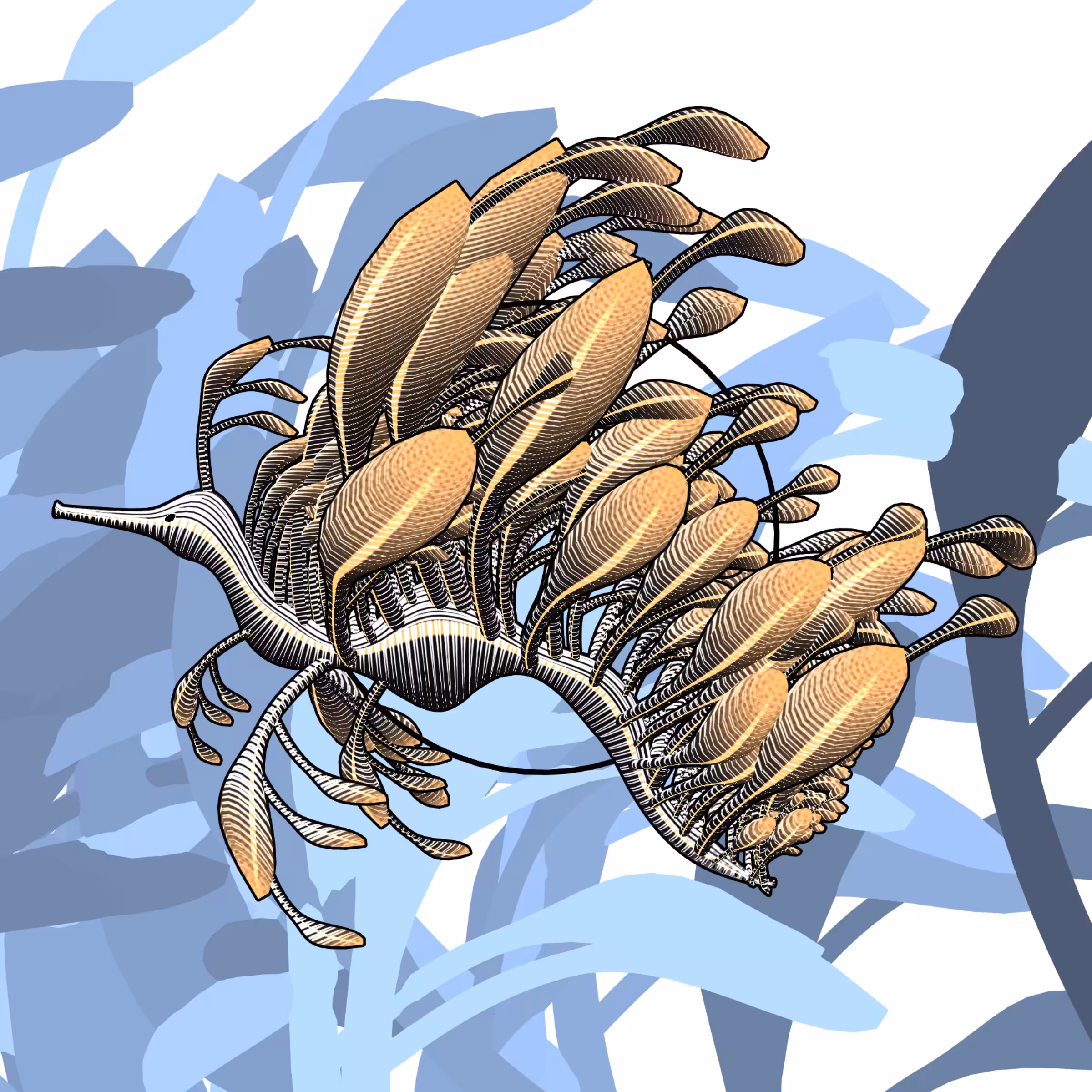 Seadragons #120