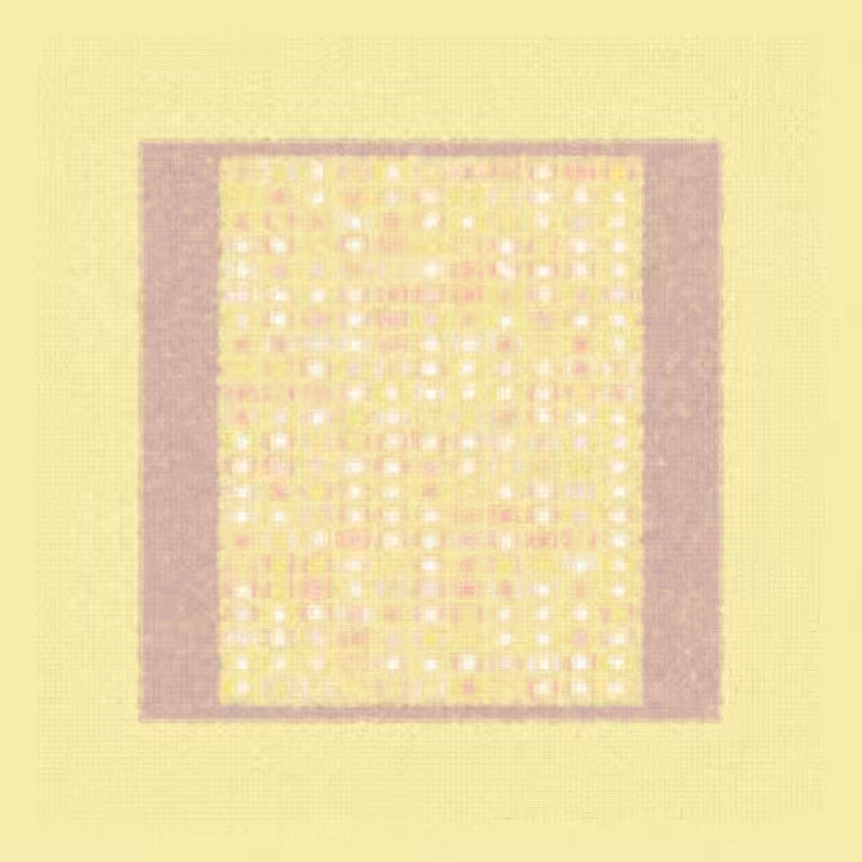 Long Form Blots #34