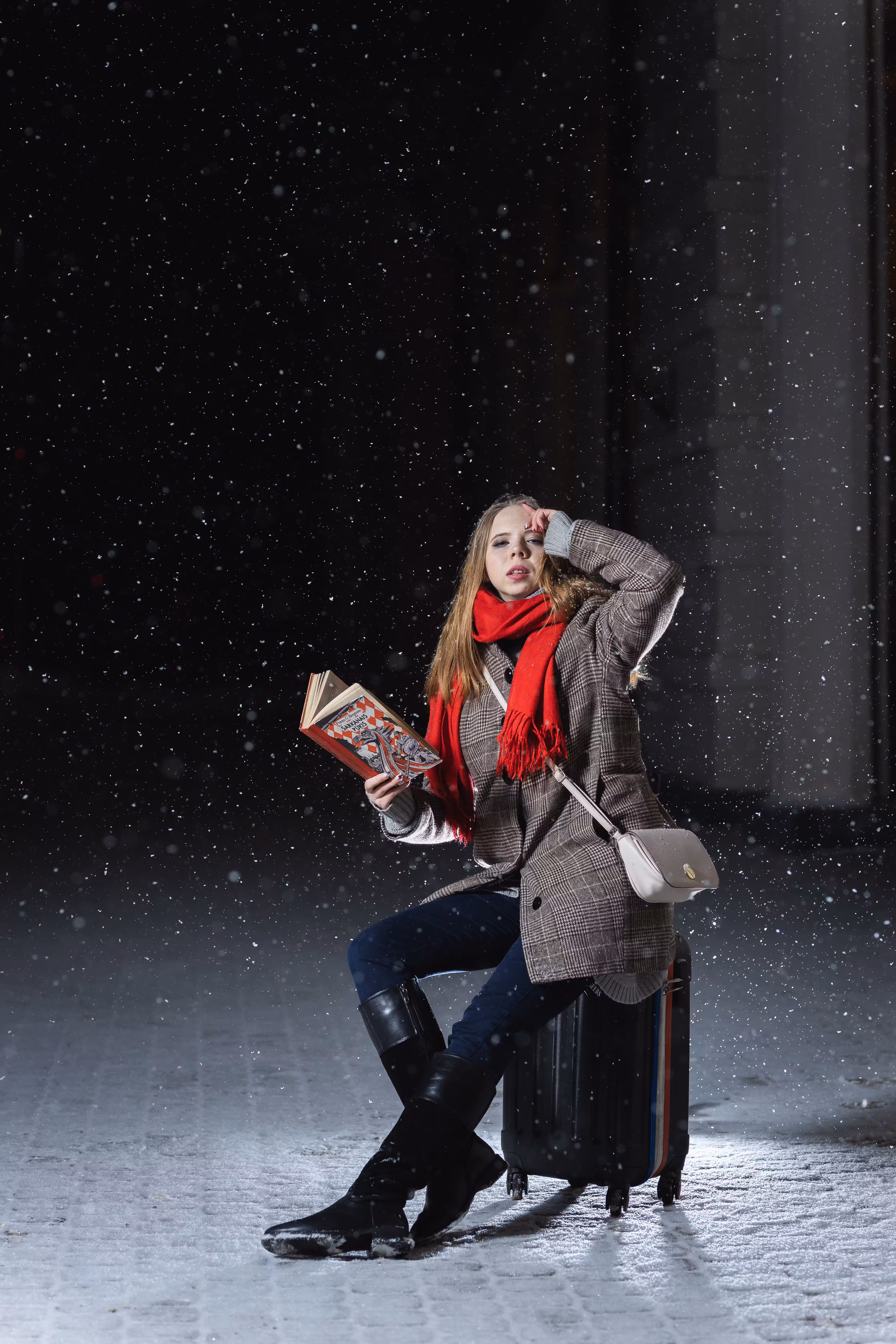 Snowy Night