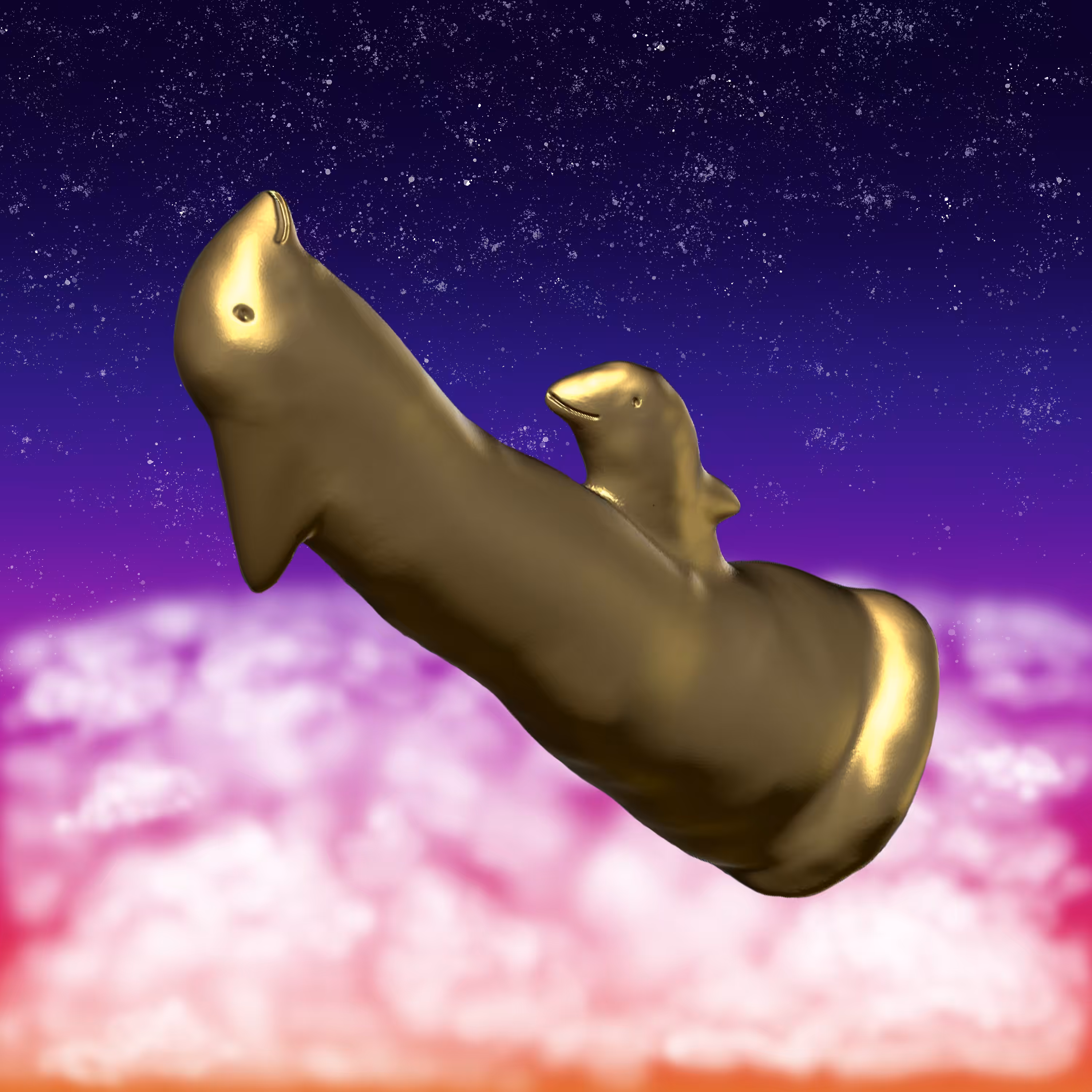 Dolphins is going to the black hole