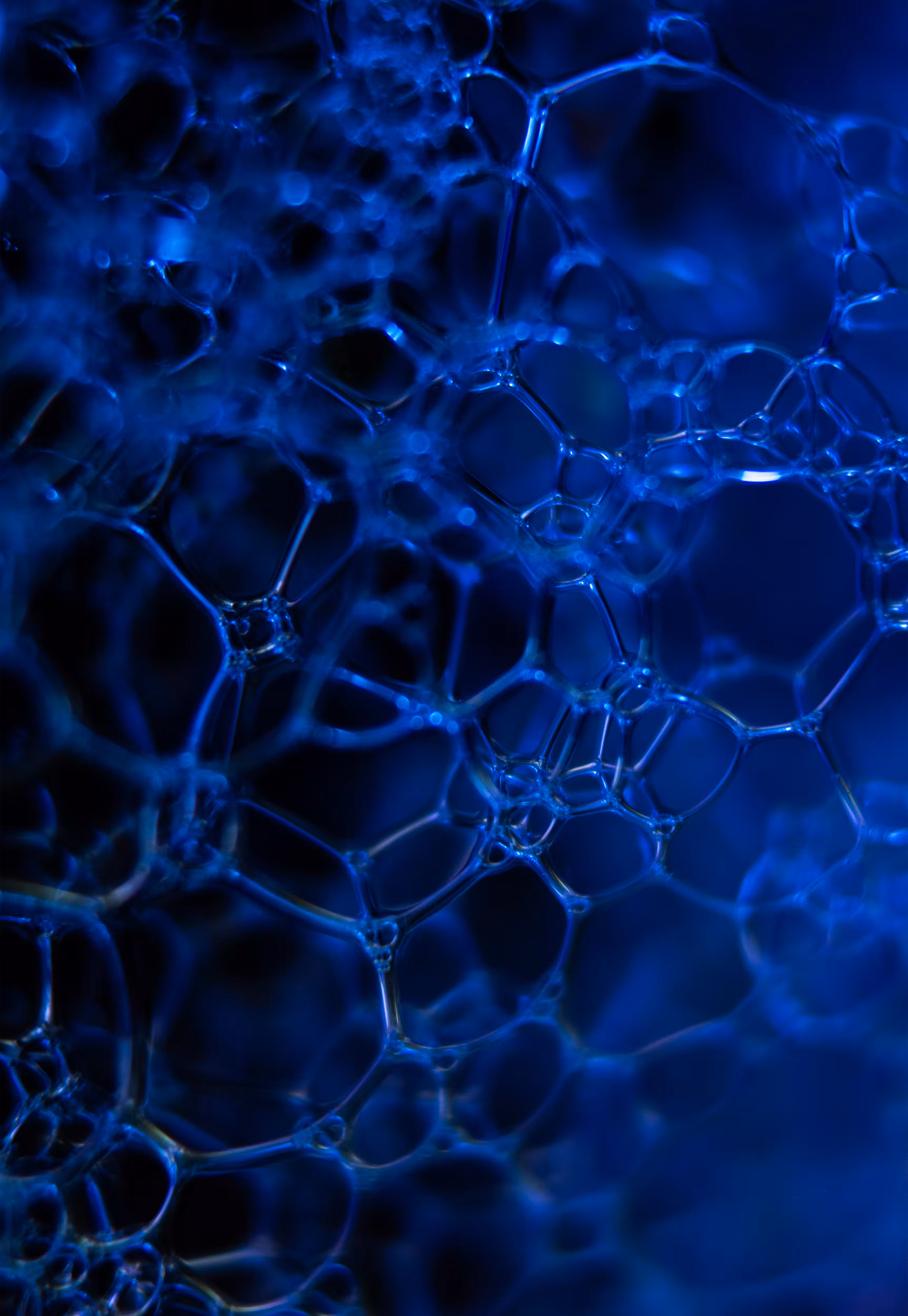 Abstract World of Soap Bubbles: #216 Bubbles