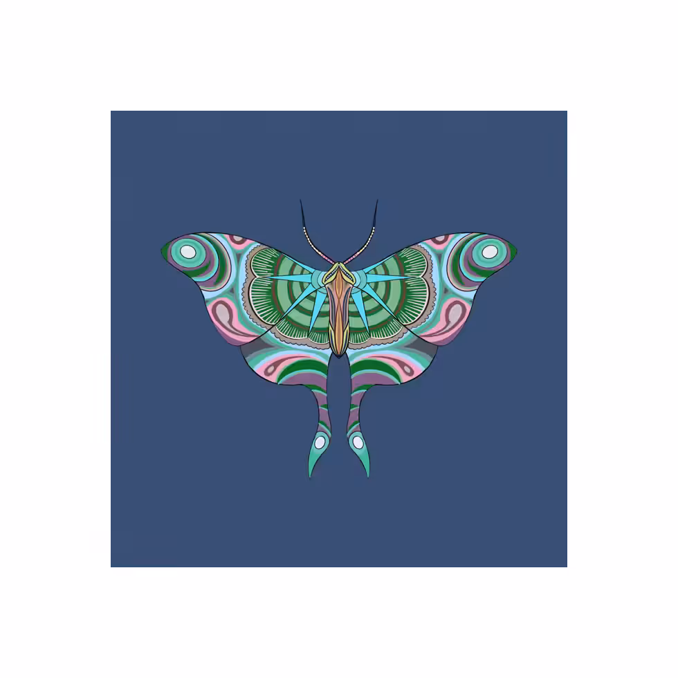 The Moth Experiment  #6