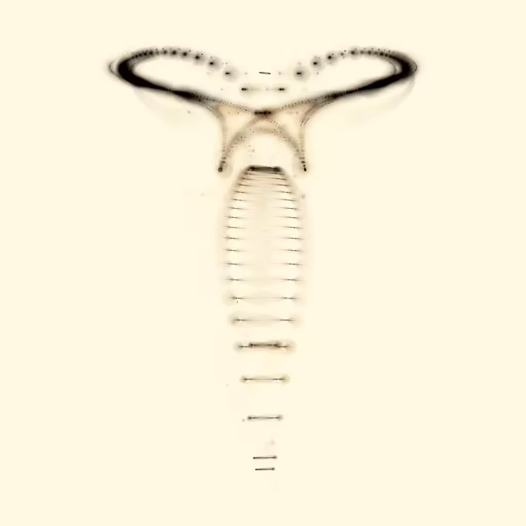 Spectral Beings: Spectral Being 601