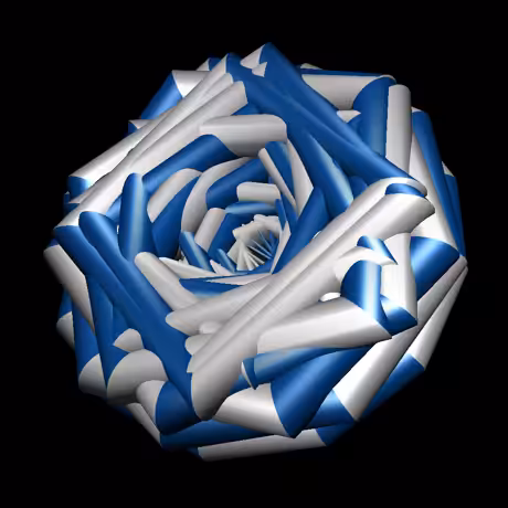 rose #8