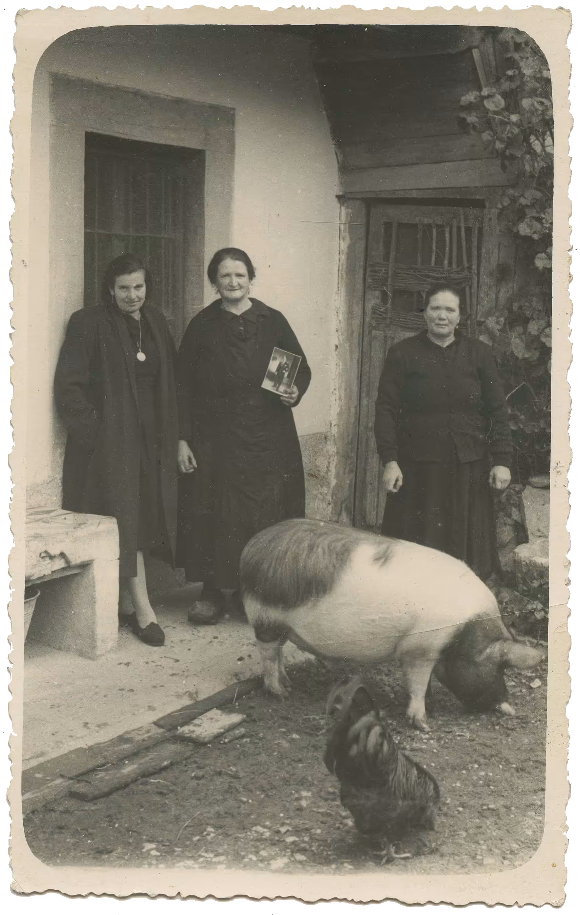 Mexicanos Olvidados