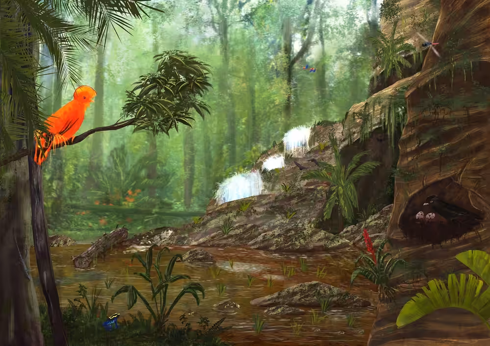 Amazonas