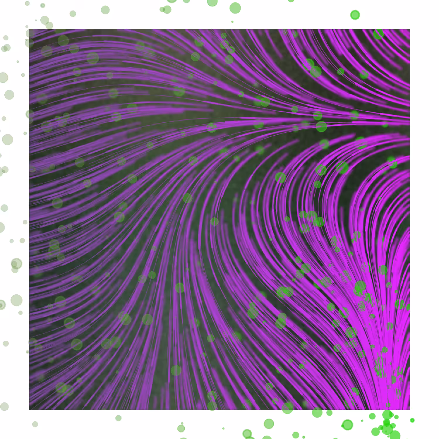 Gentle Force #5