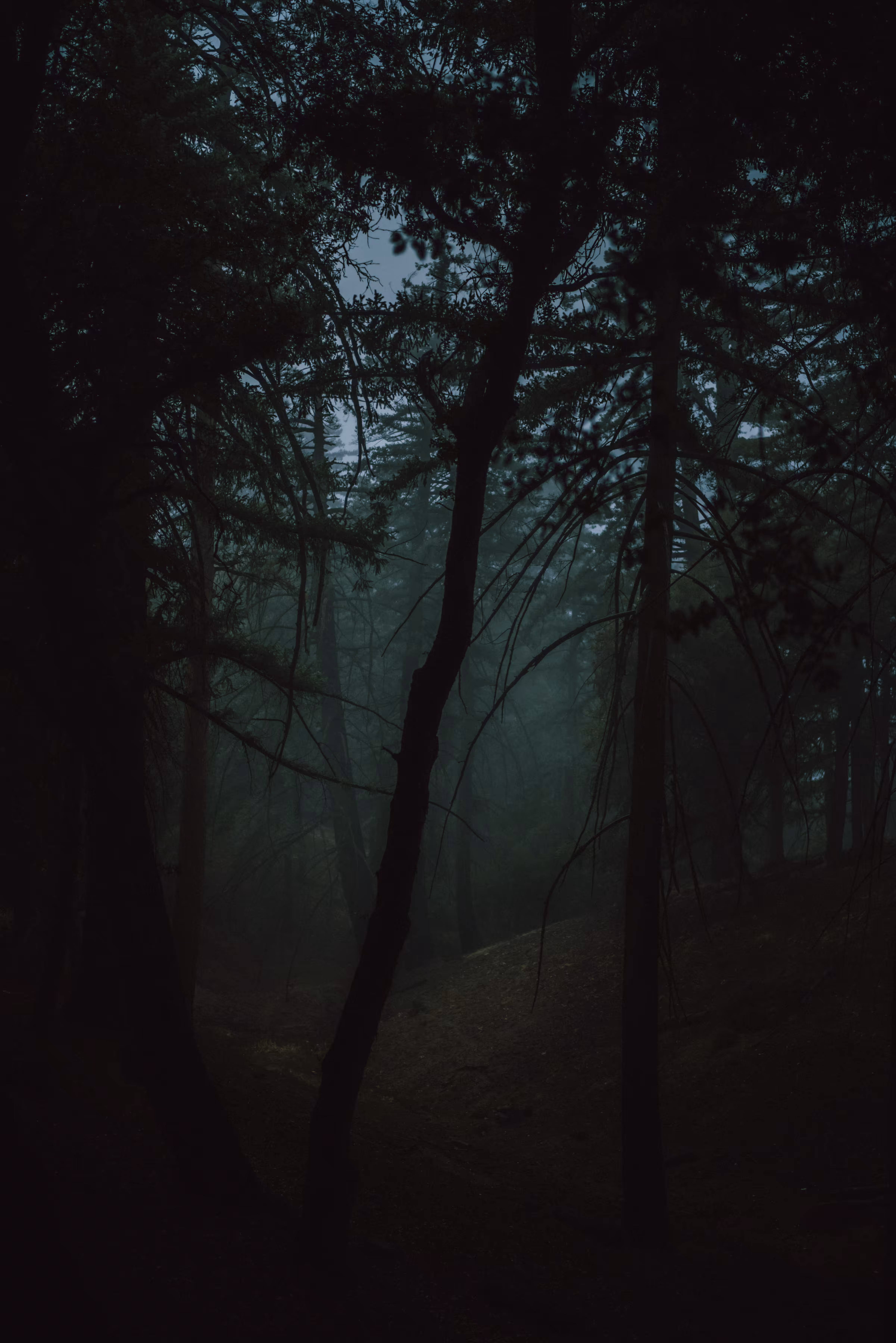 LOST TRACK