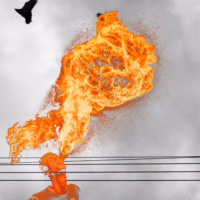 Free to burn #11