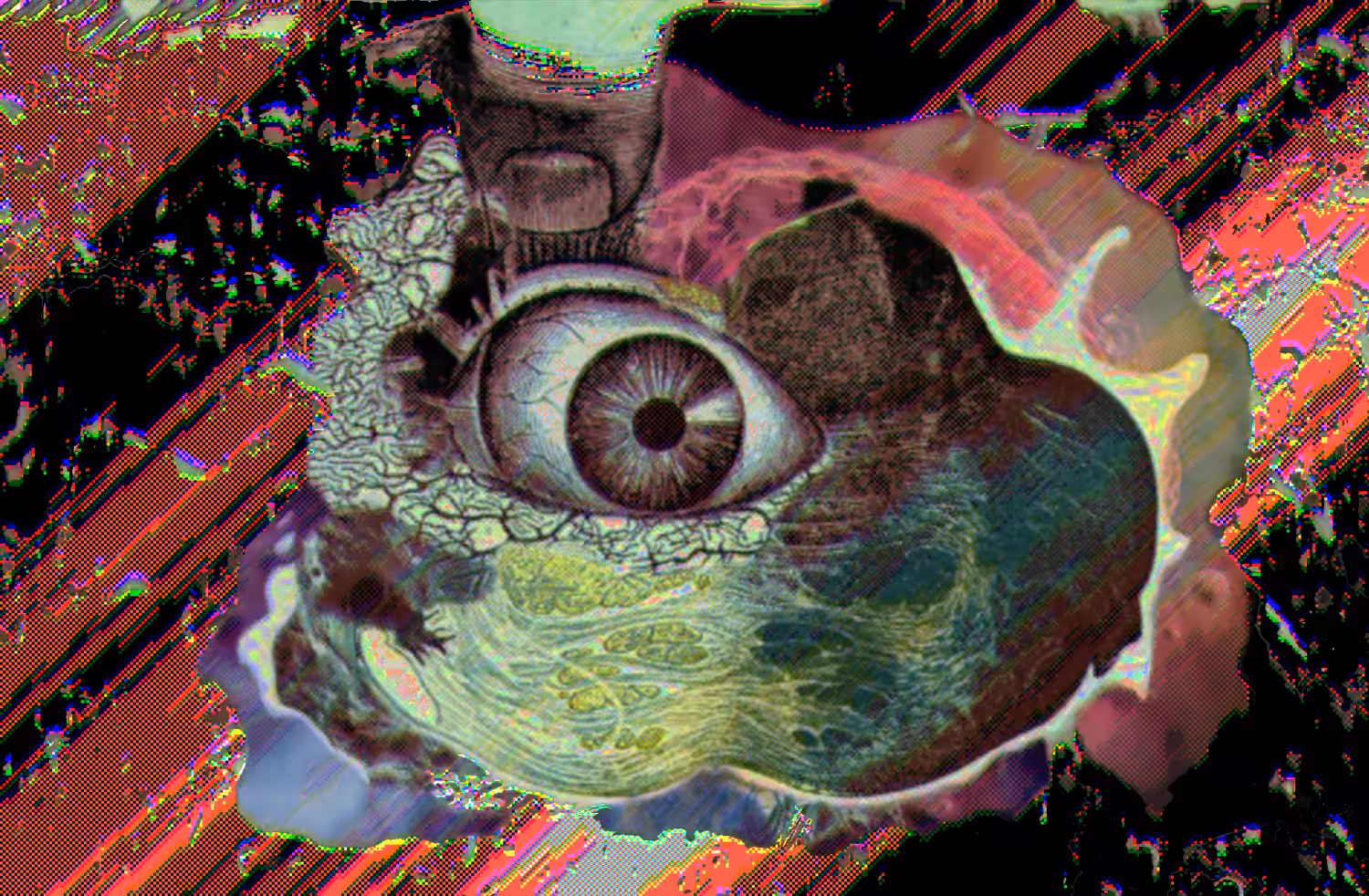 digitalvision