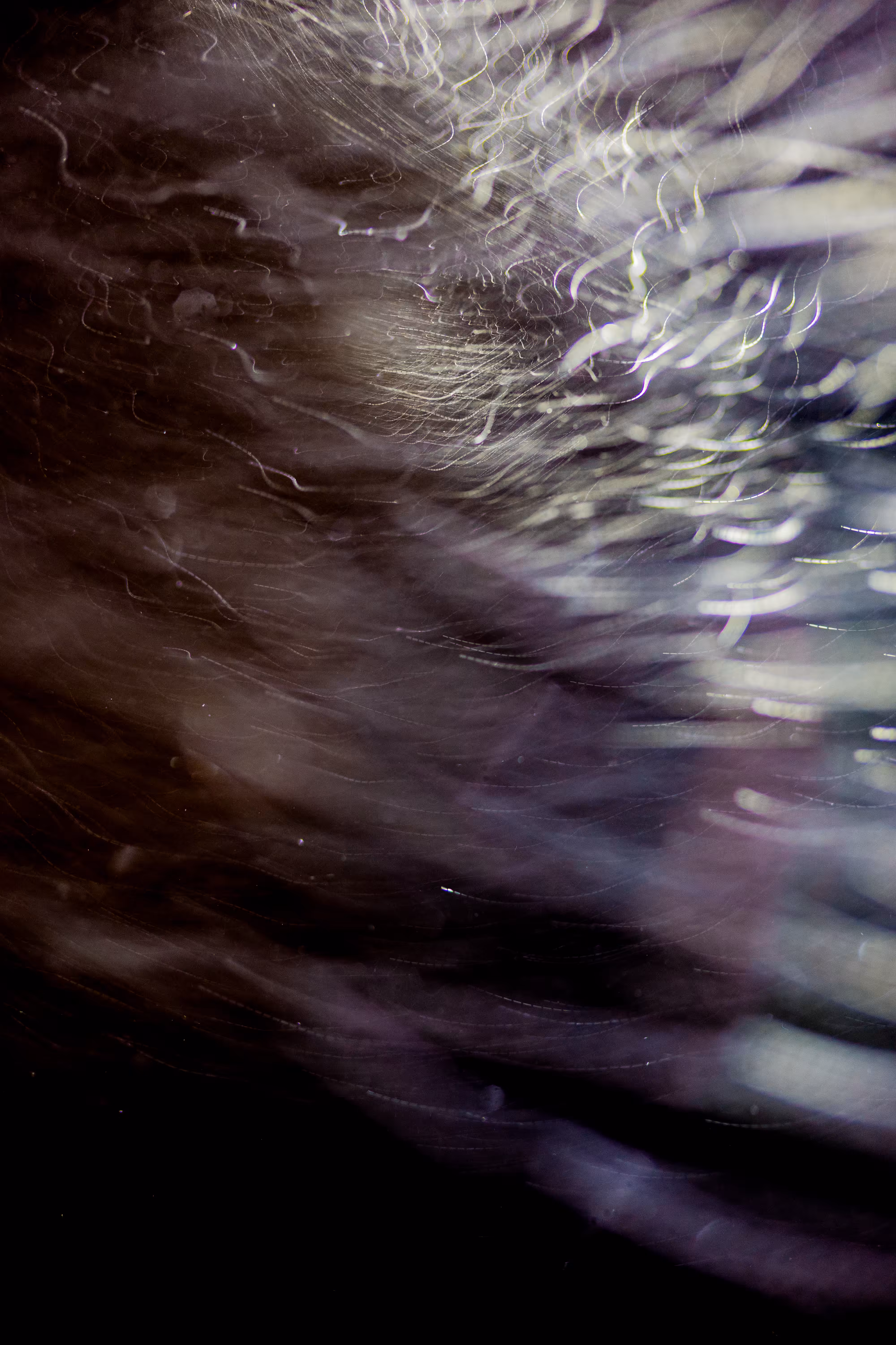 GISELXLIGHTSLURRY: L1210397 : An omen of the skies
