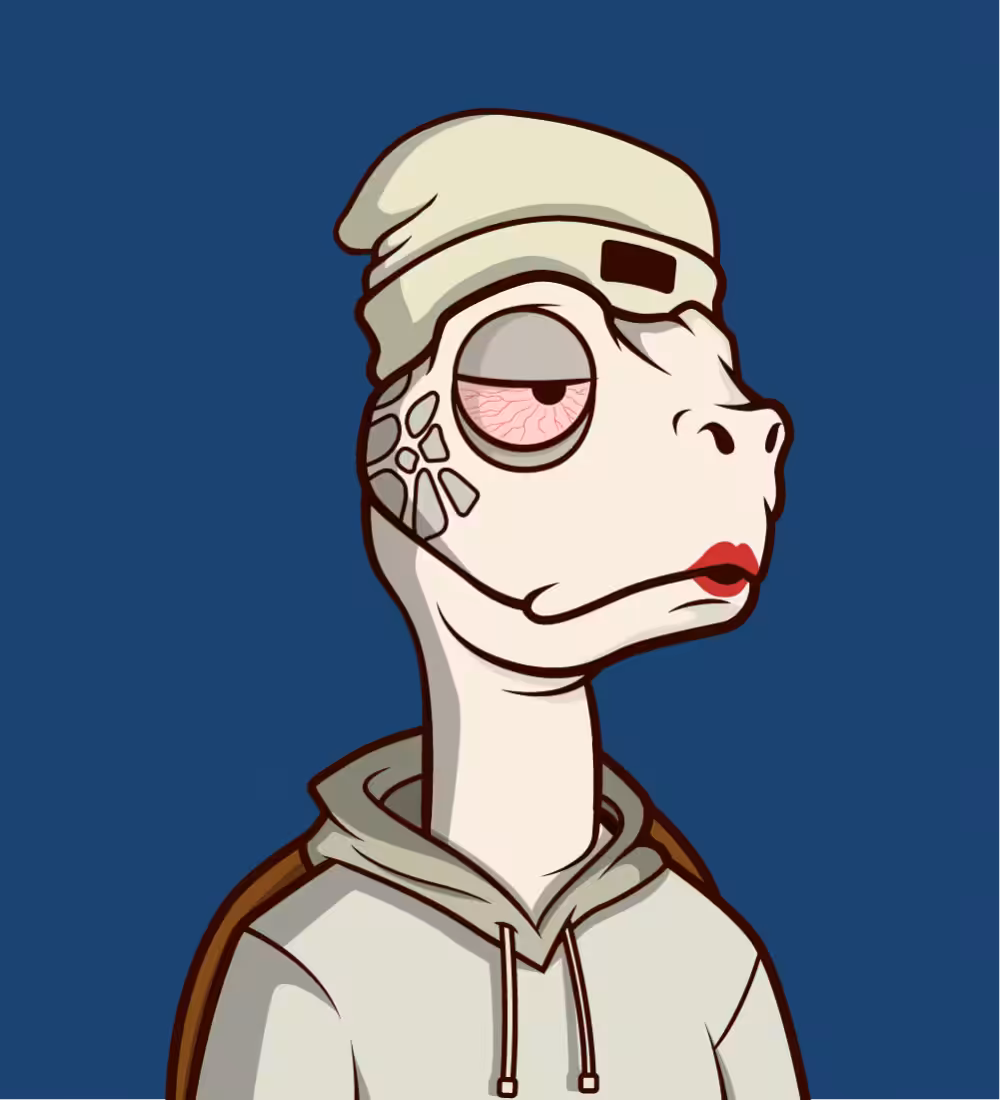 Tiny Turtle 43