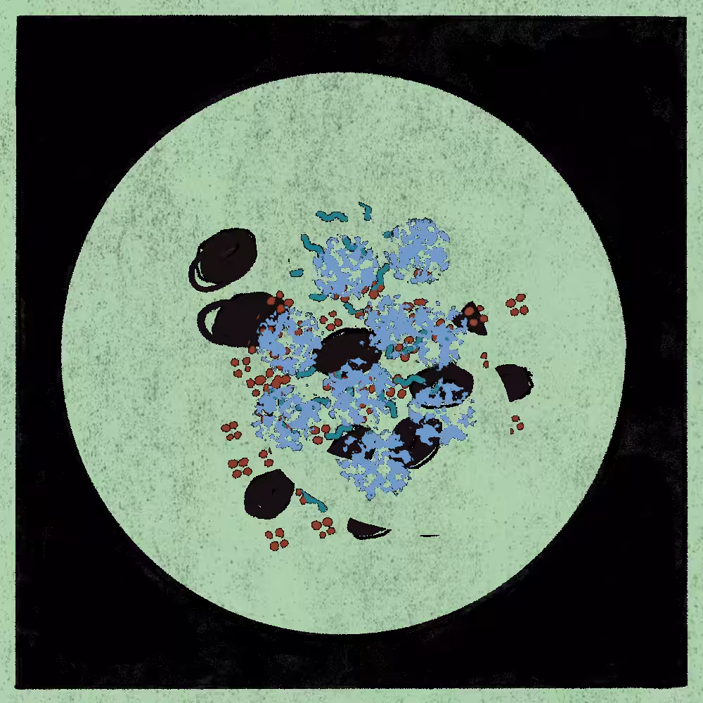 Microbes #50