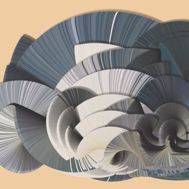 Seashells #11