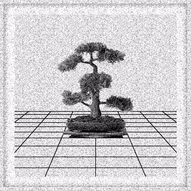 Bonsai Bonanza #484