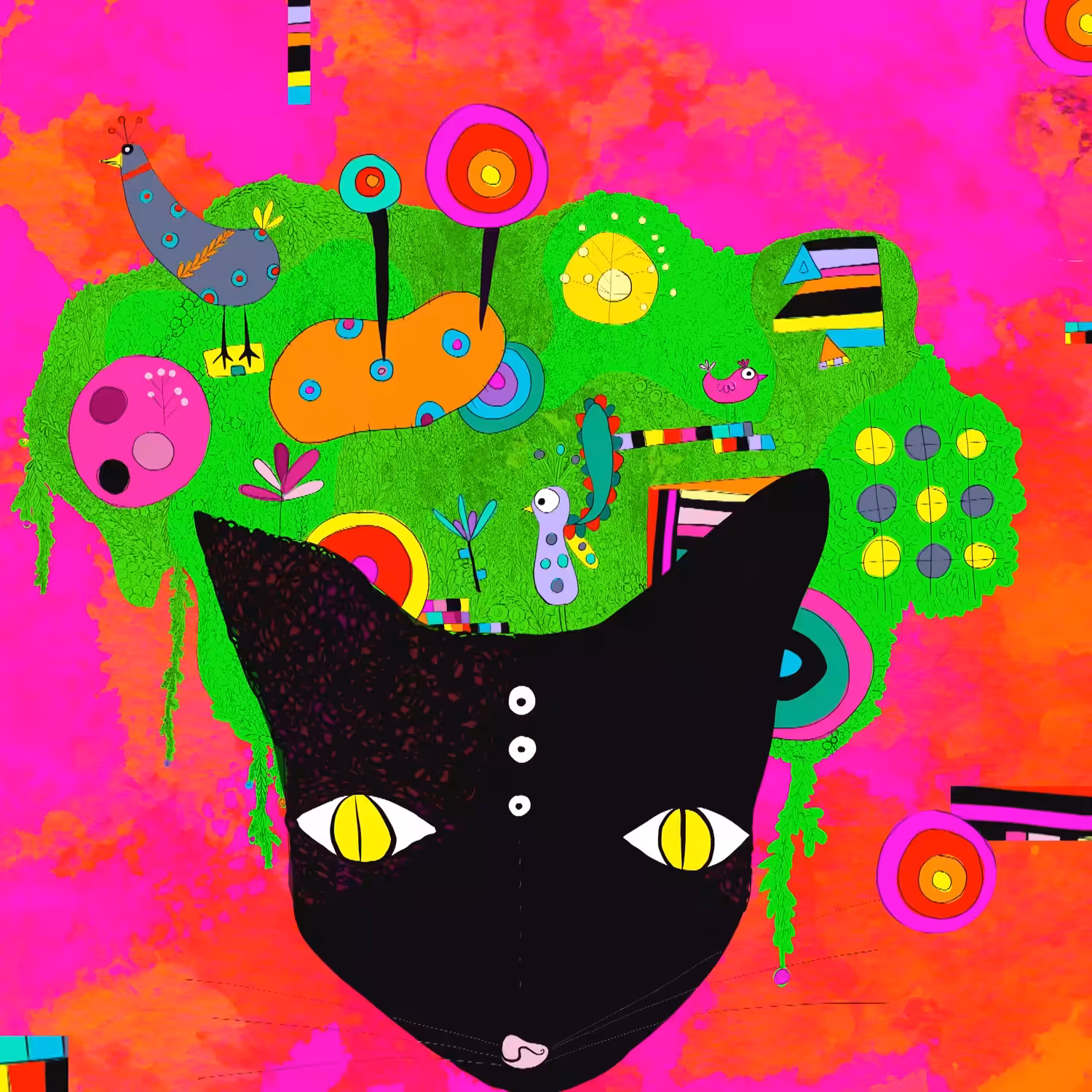 The black cat 