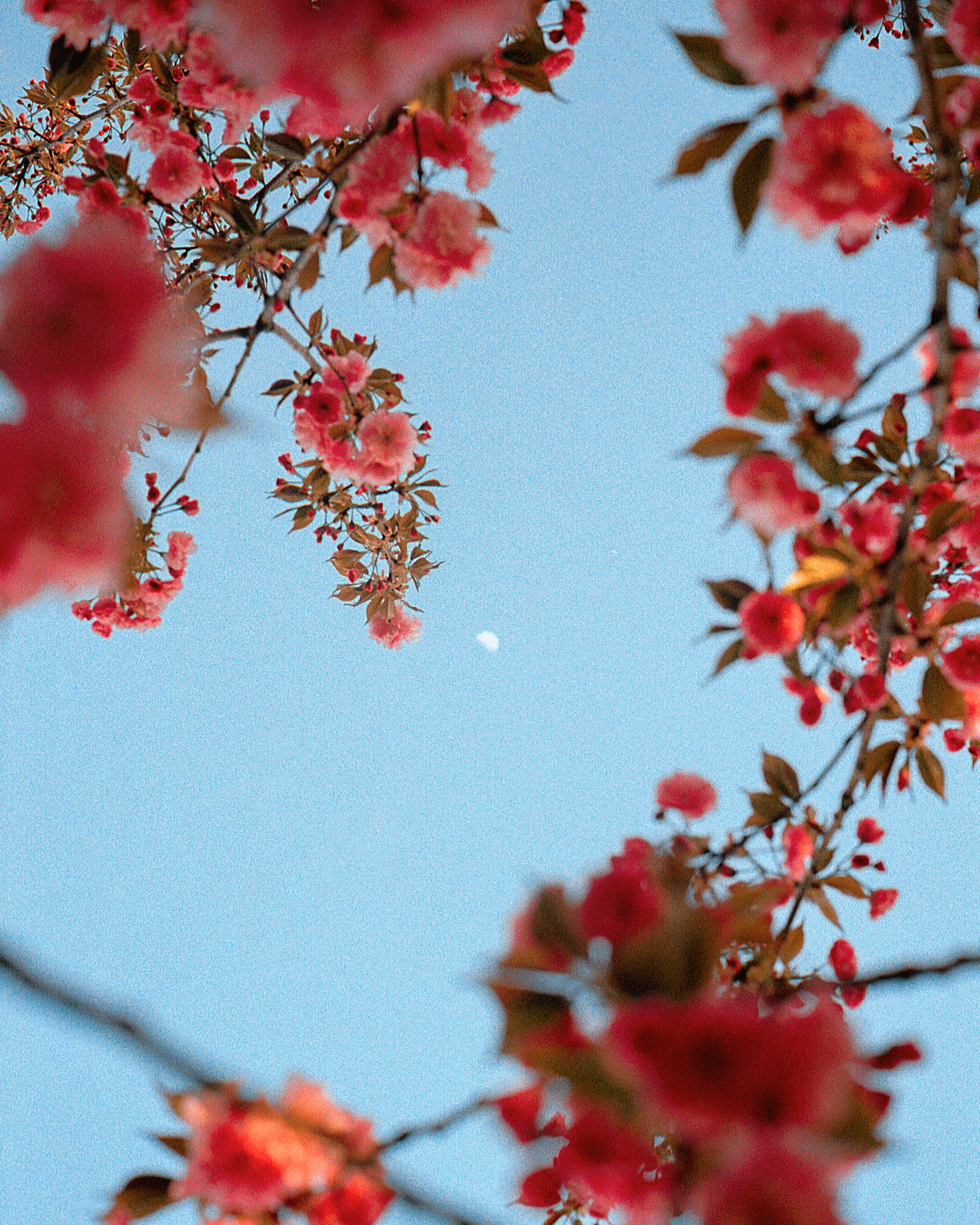 Borrowed Time #08- Me & The Moon