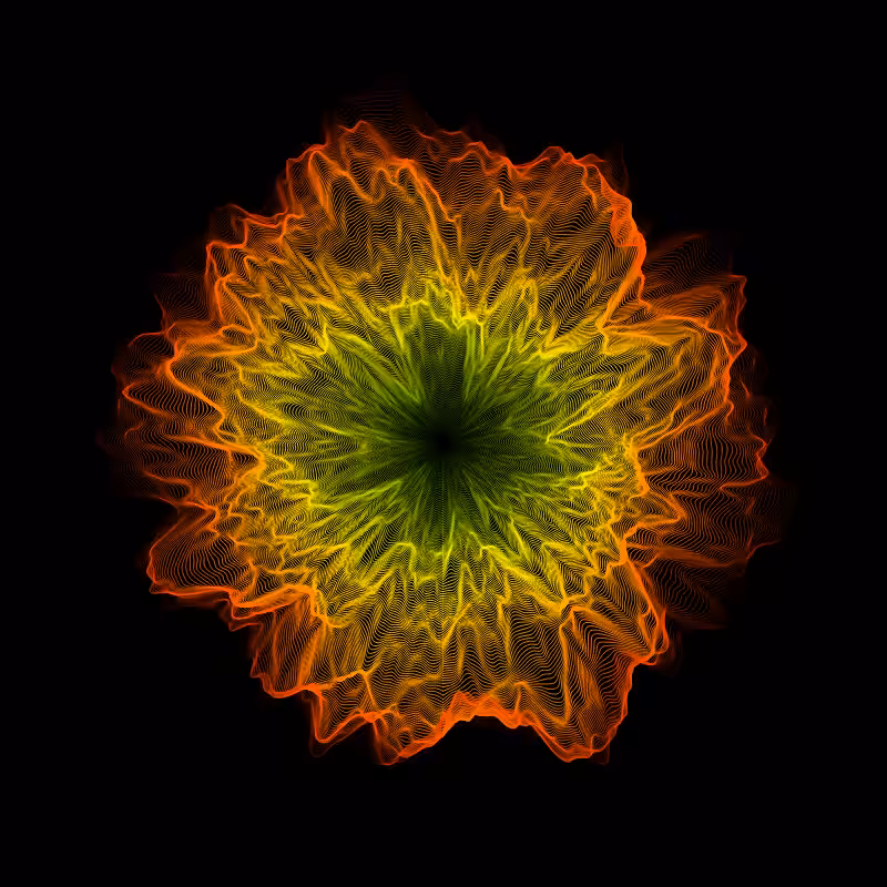 Elisian #293