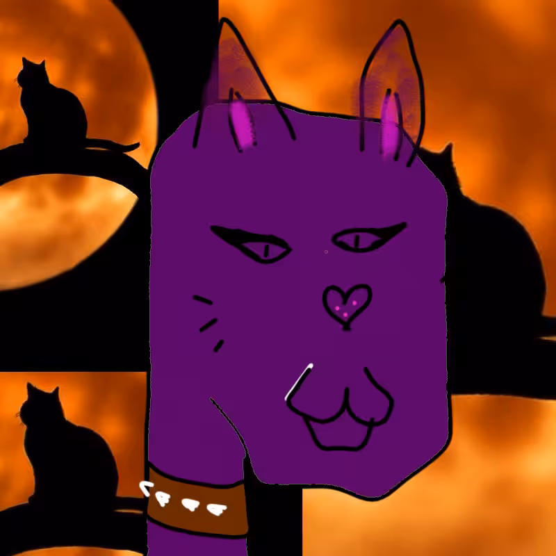 hi CAT lucas #18