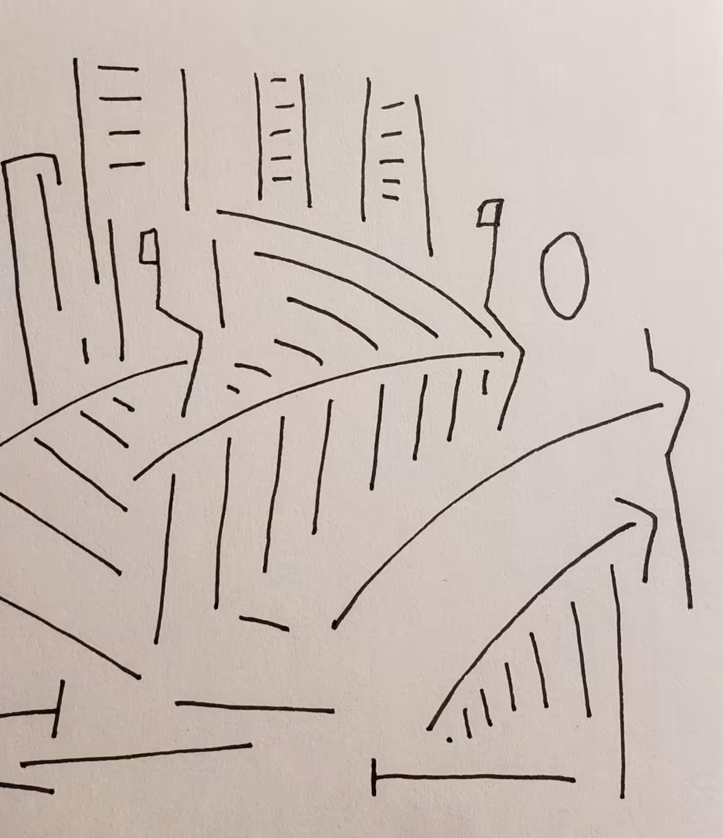 21