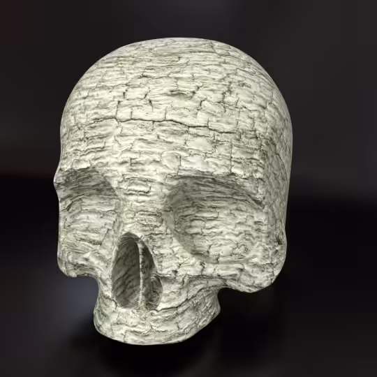 SkullZ #57