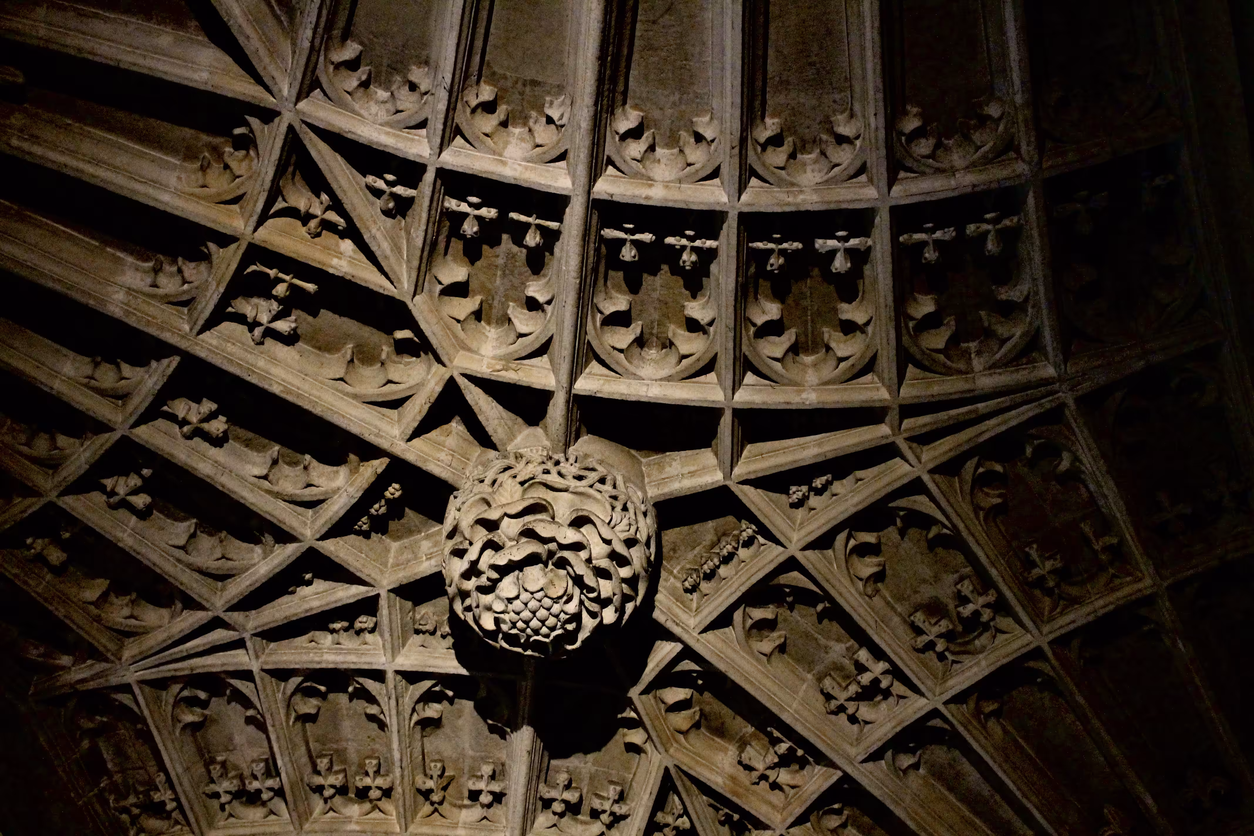 Cathedral