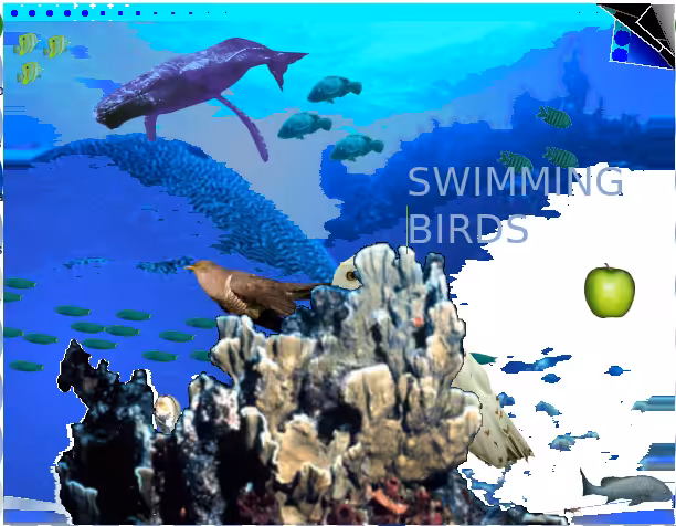 s͇w͇i͇m͇m͇i͇m͇ ͇b͇i͇r͇d͇s͇_:(‘Θ’ 」