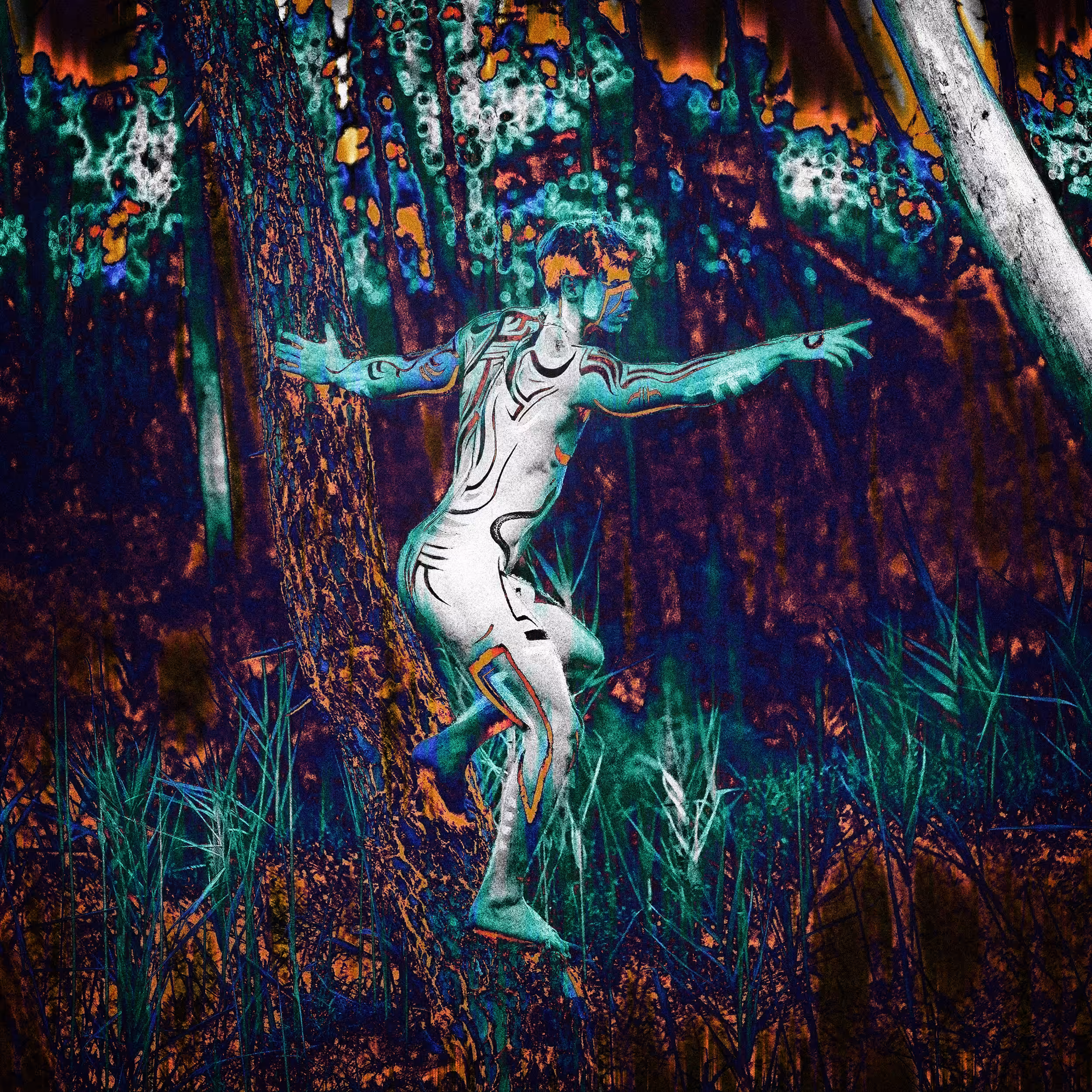 Tribal Trouble Painter OBJKTS: Dreamland