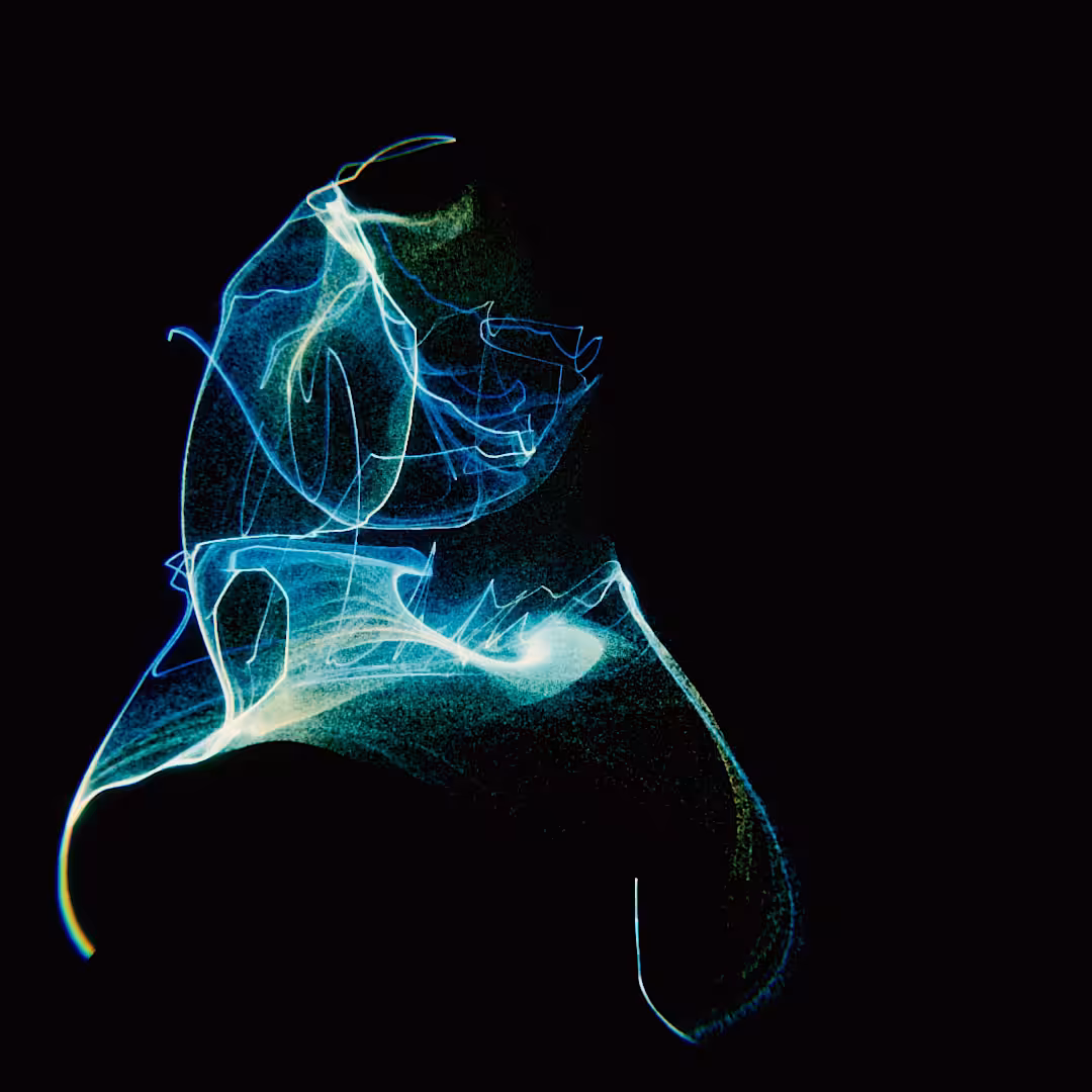 Blue-Yellow Phantom