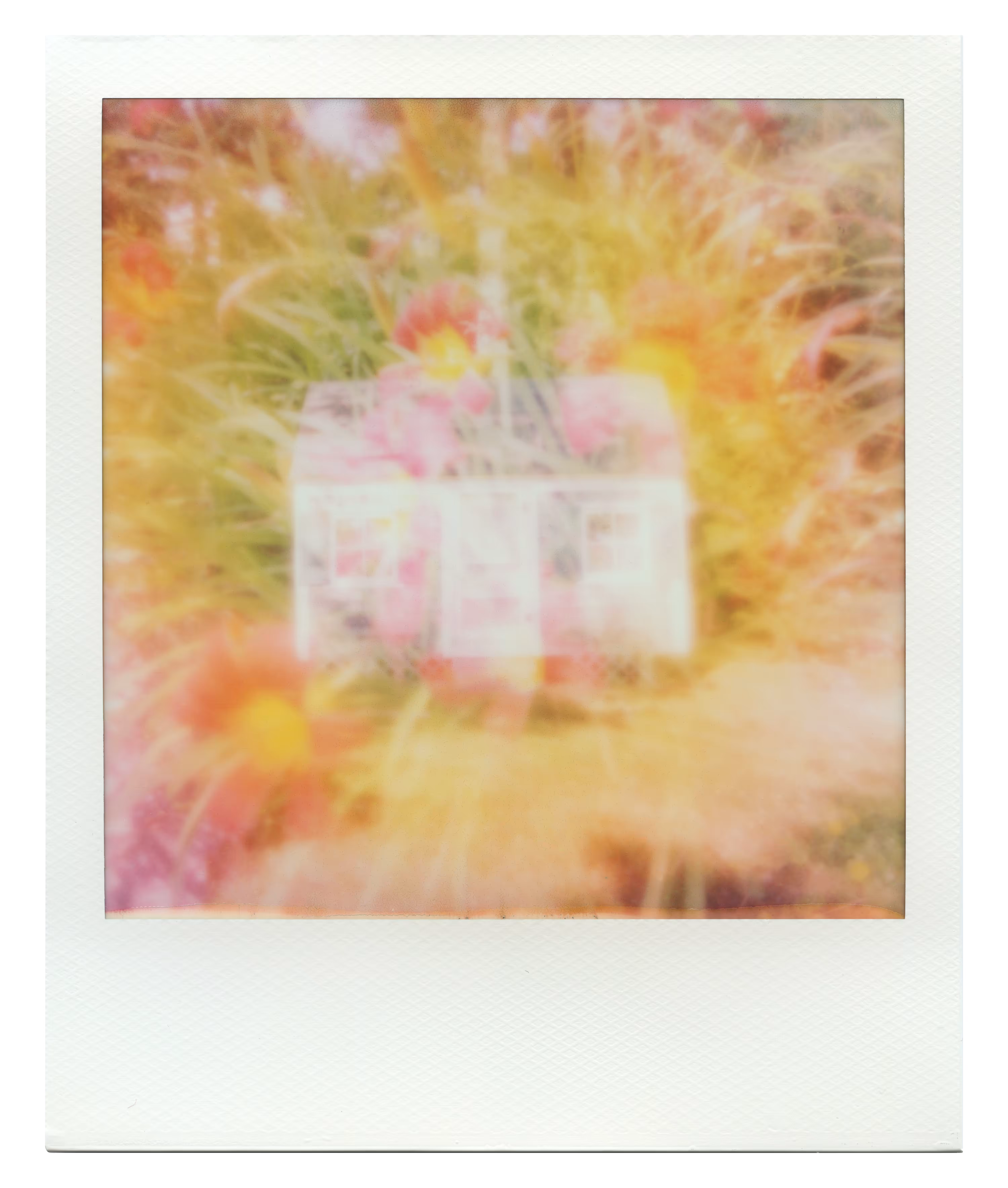 Endless Summer  |  28  | Manifestation