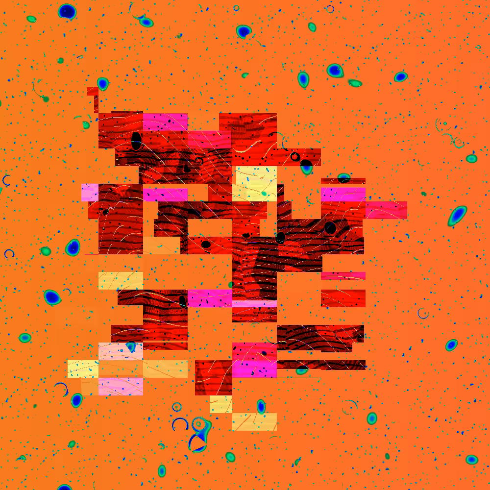 Seed and Spores #22