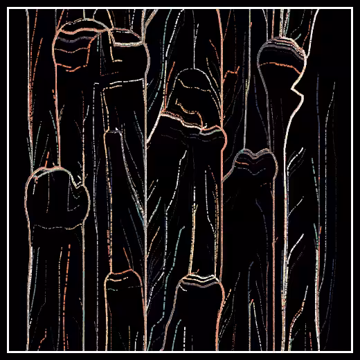 Observers' decline #43