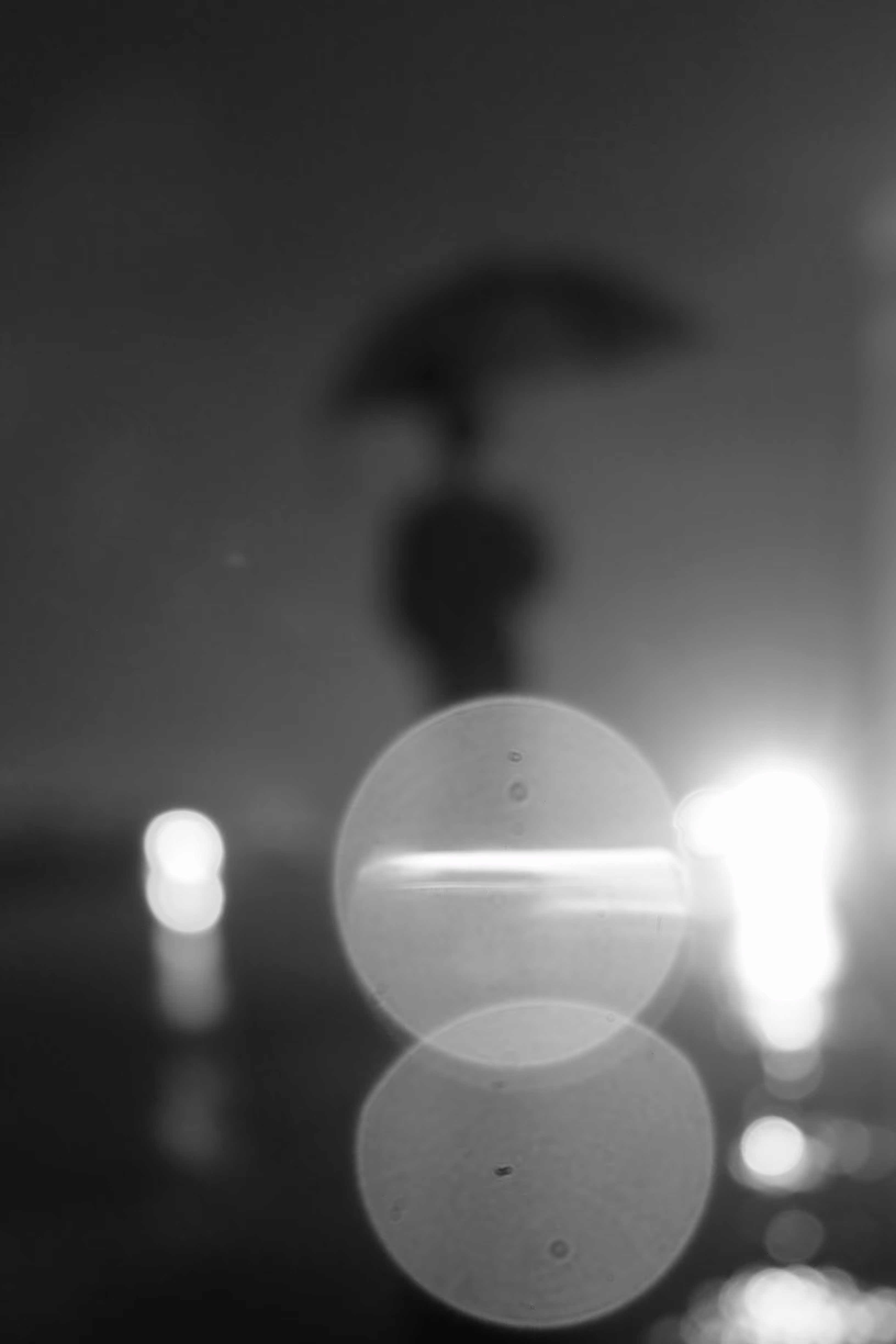 Petrichor