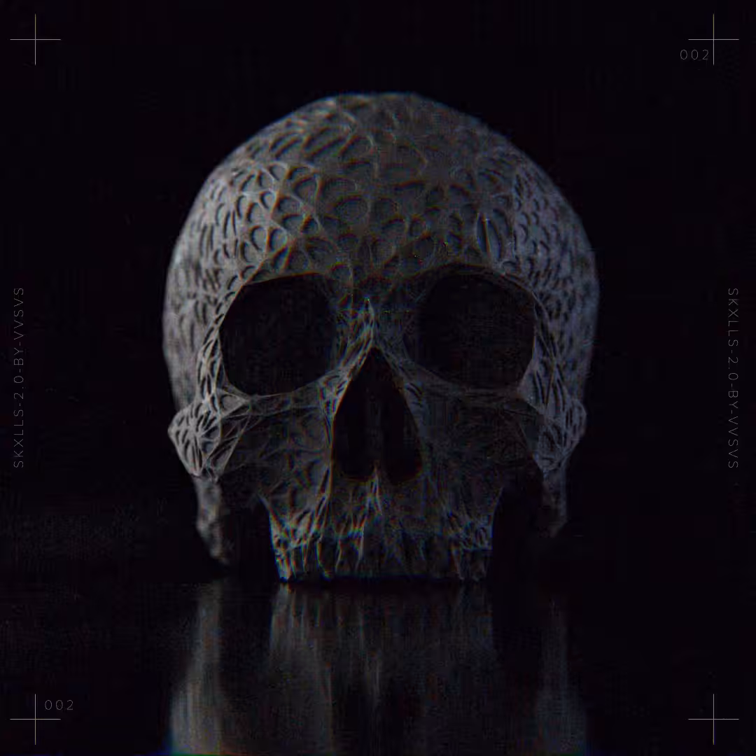SKXLLS-2x0-002