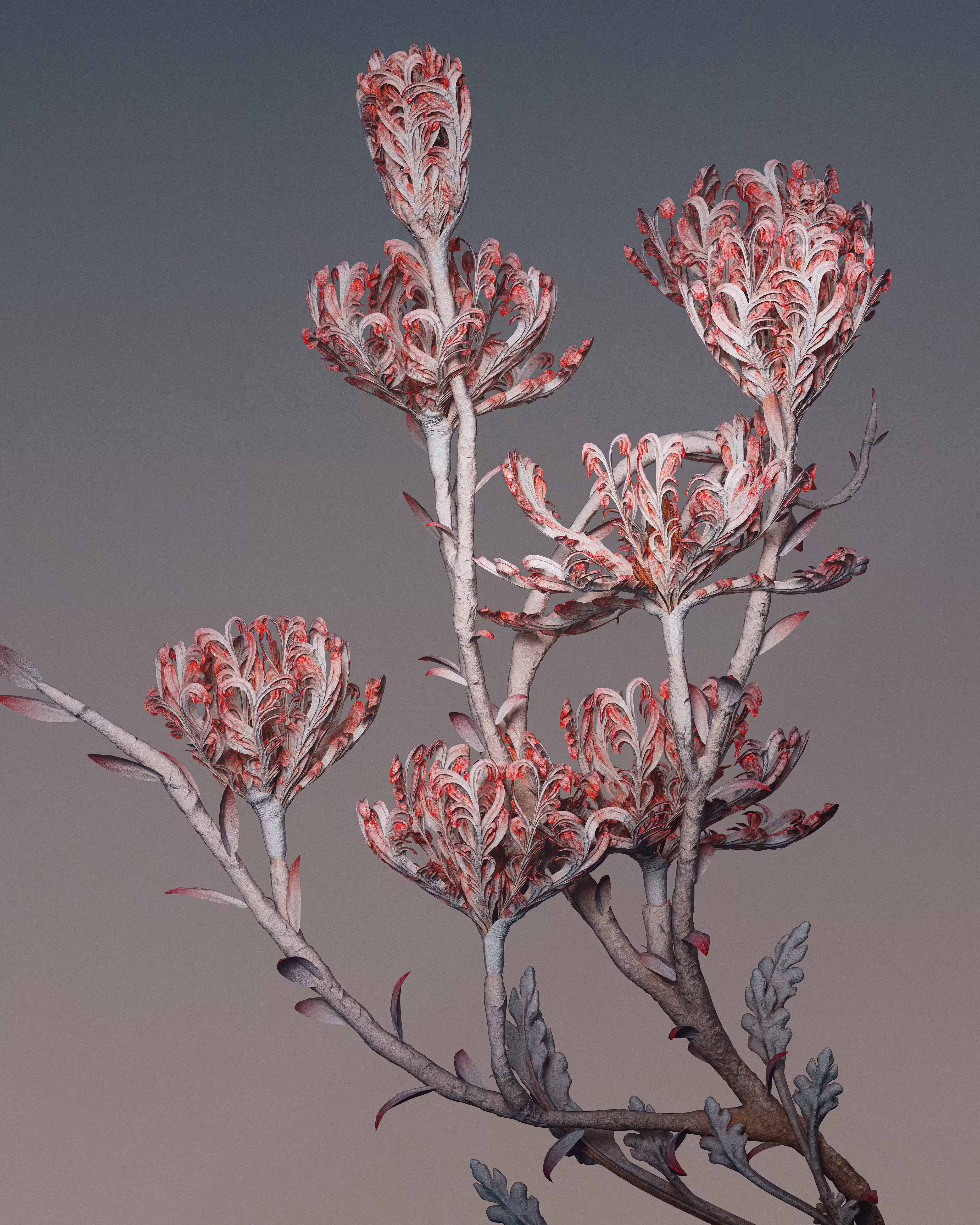 Algorithmic Still life #11