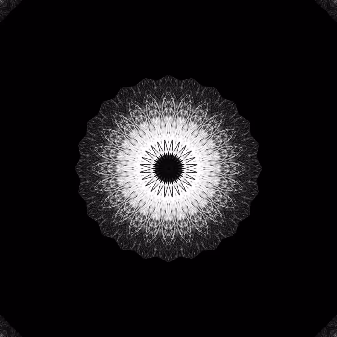 orbital warp 13