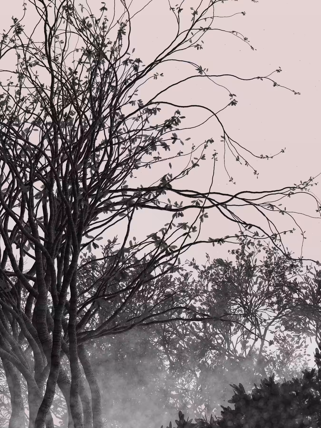 Morning Mist #68