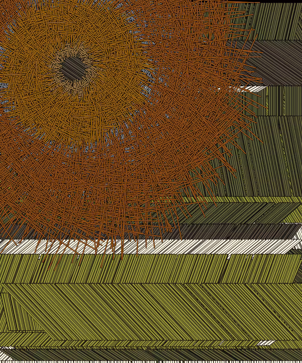 Shavings #126
