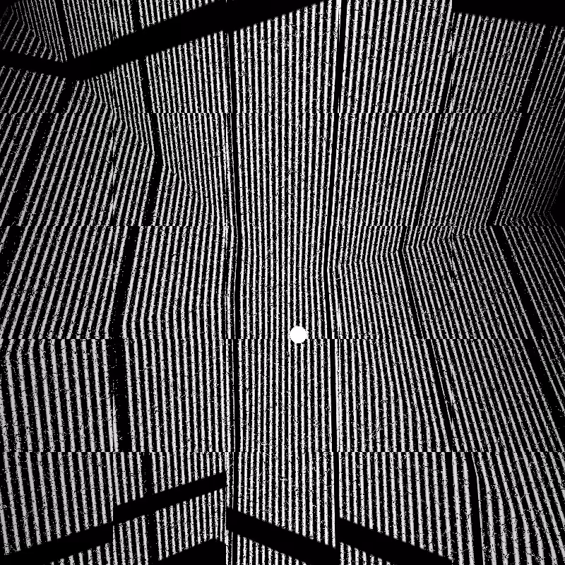 CARBON #24