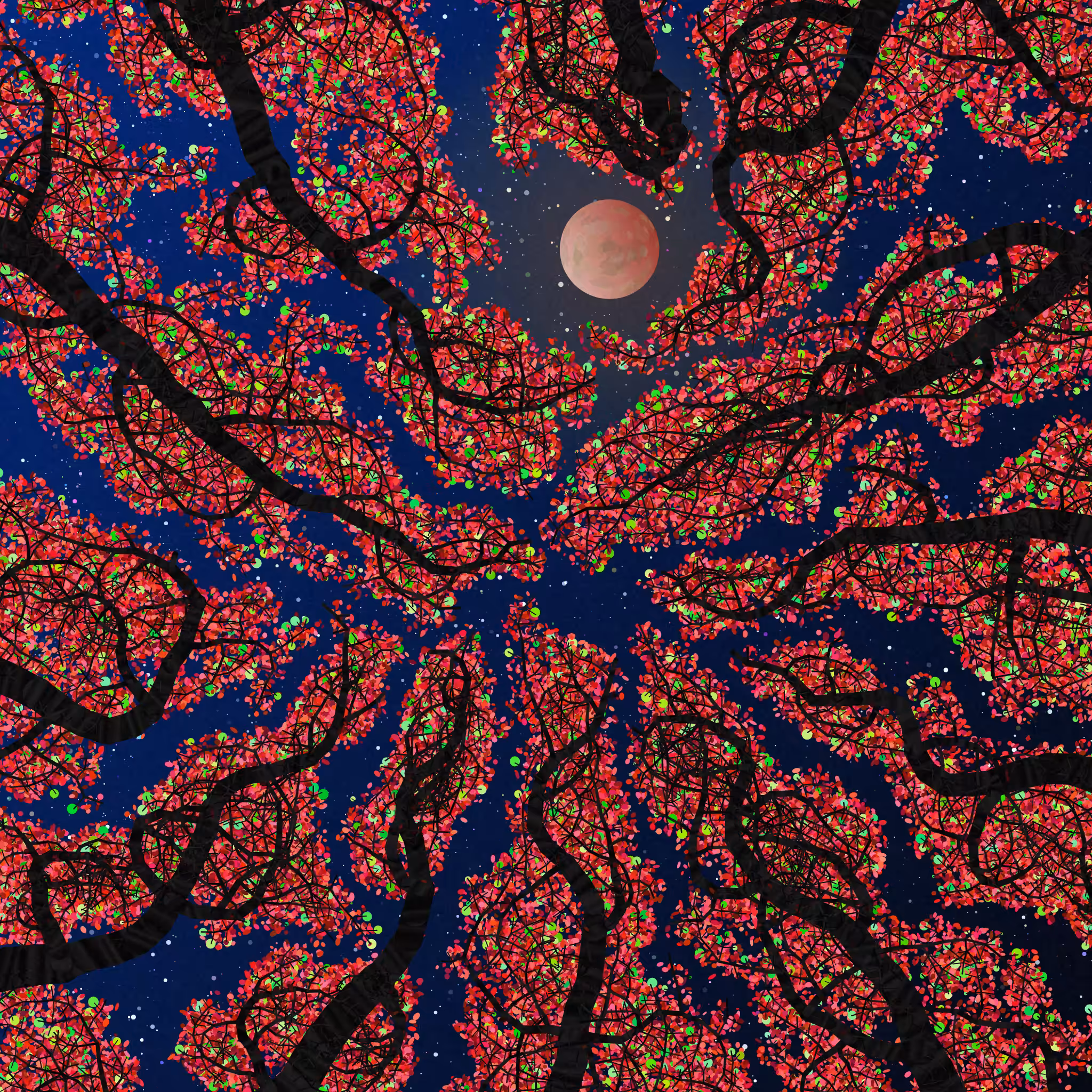 Tree Skyness #36