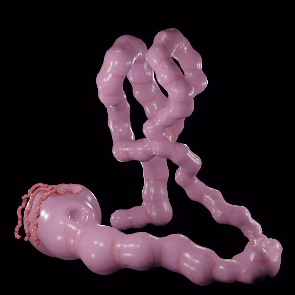 His body transformed into organic form