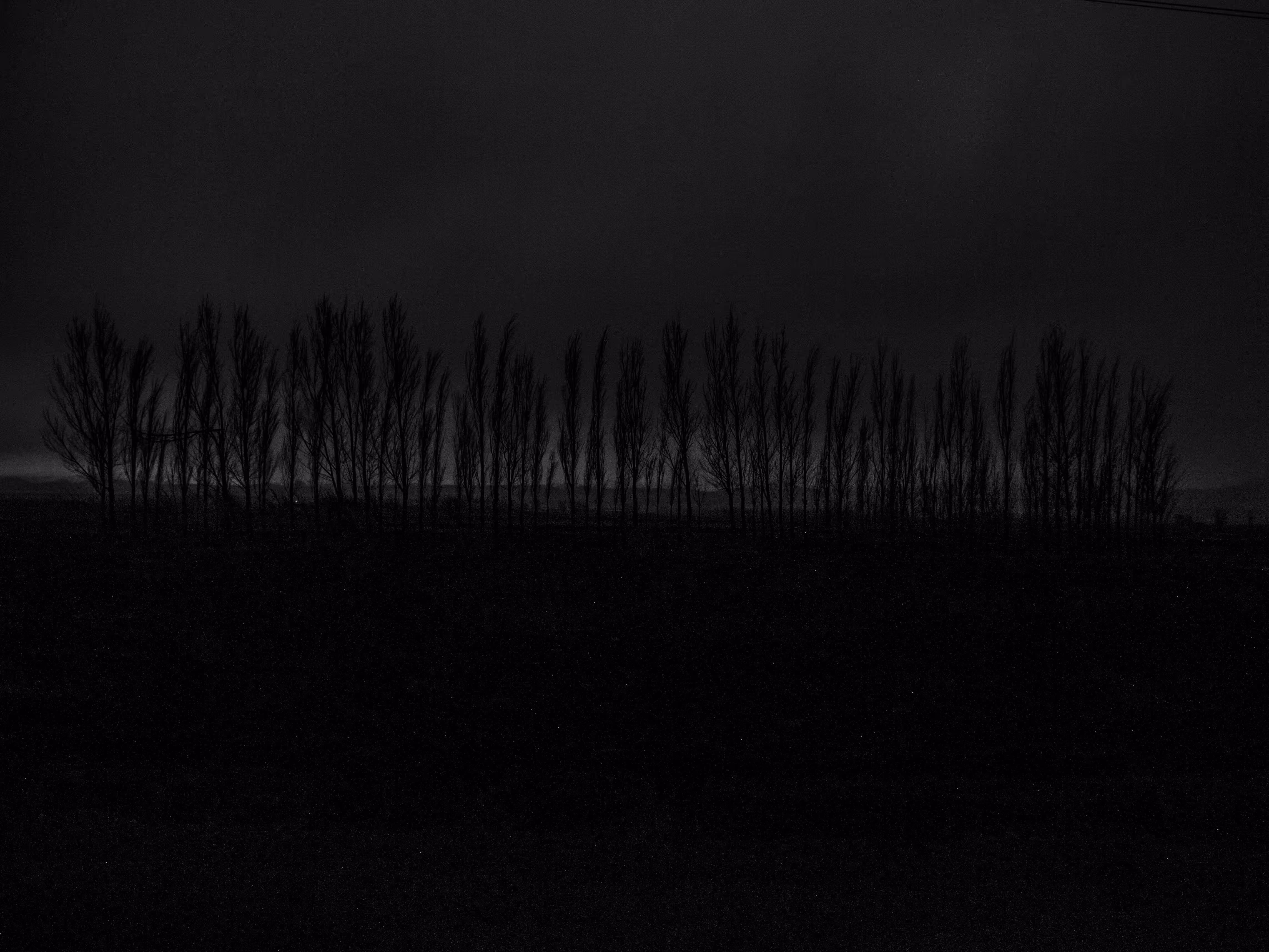 Dark horizon